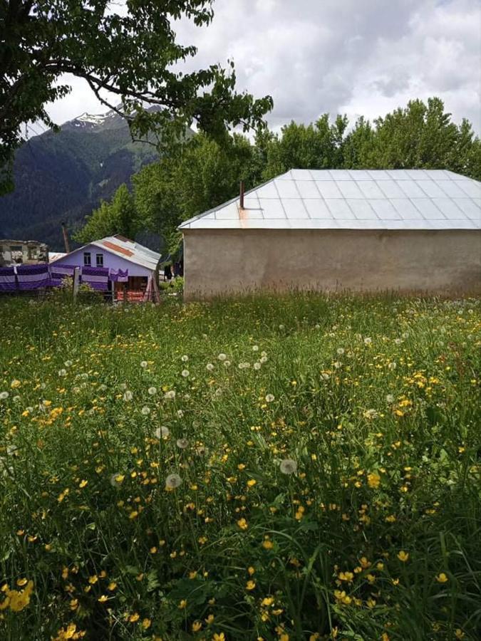 Shorena'S Homestay Tsvirmi Extérieur photo